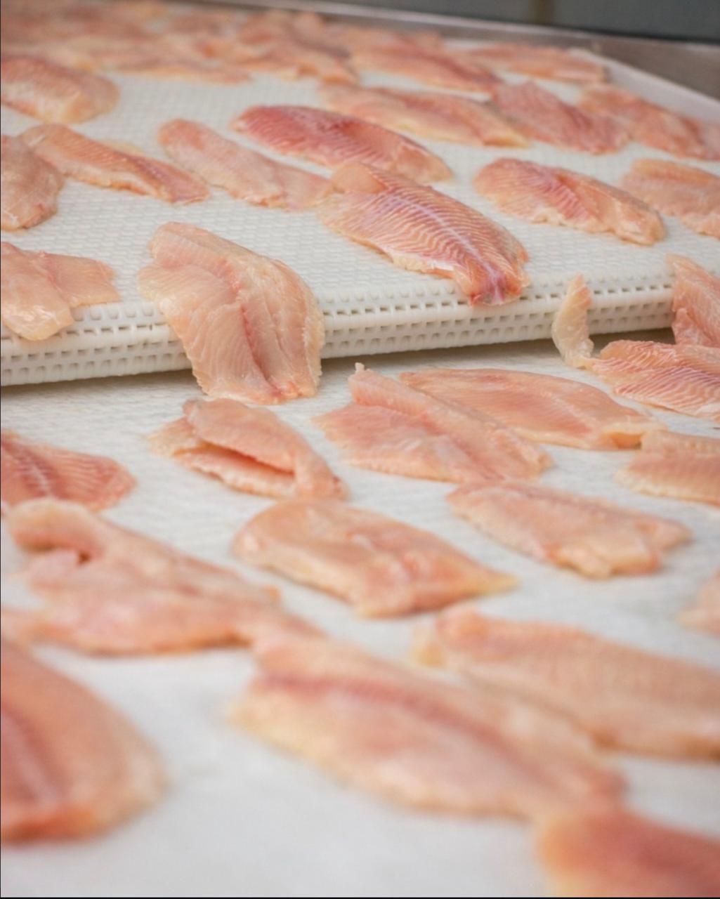 Postas de pescado fresco servidas com rodelas de limão